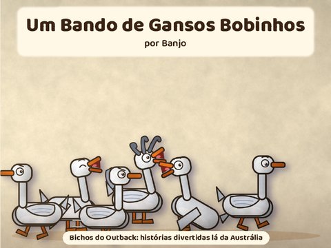 Capa: Um Bando de Gansos Bobinhos