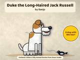 Duke the Long Haired Jack Russell