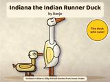 Indiana the Indian Runner Duck